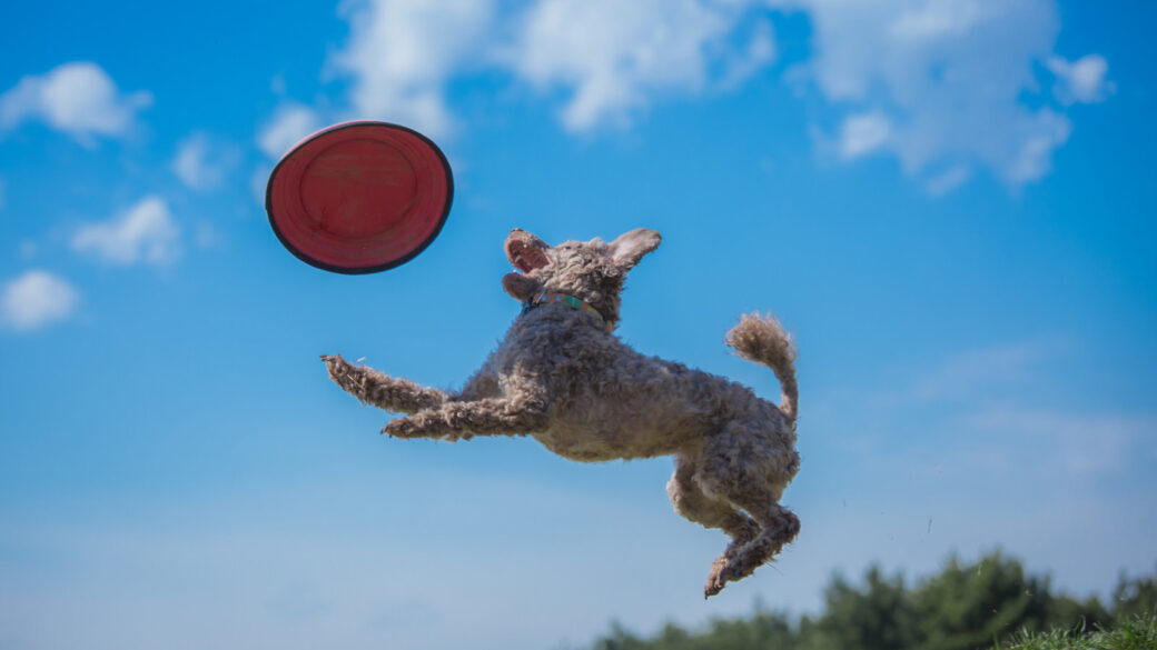 2026年の夏季休業のお知らせのアイキャッチ画像