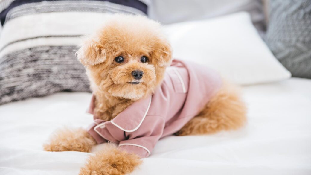 2026年 ゴールデンウイーク休業のお知らせのアイキャッチ画像