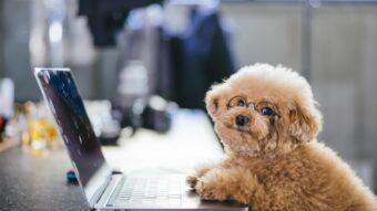 2025年 ゴールデンウイーク休業のお知らせのアイキャッチ画像